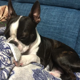 雨だるいの画像