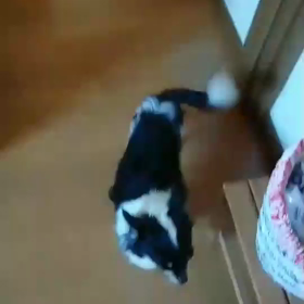 エリのいない日の画像