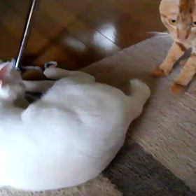 激しい人と待つ人の画像