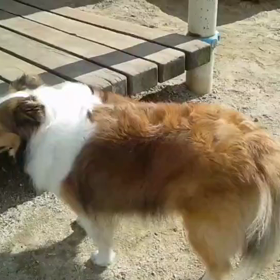 すべり台の画像