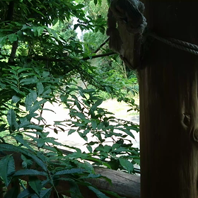 鳥の歌声の画像