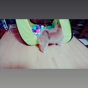 ボールプールの画像