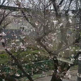 病院の待合い室で❗の画像