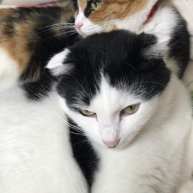 就寝前の動画の画像