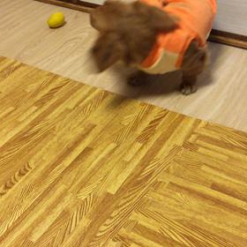 ティガを脱皮（笑）✳︎音出ます^^;の画像