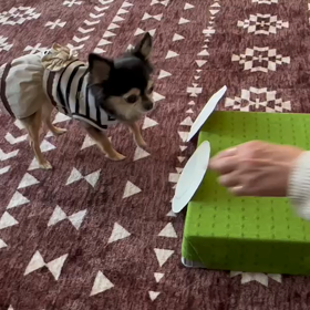 練習１〜シェリバージョン〜の画像