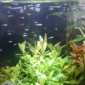 動画を投稿してみるの画像