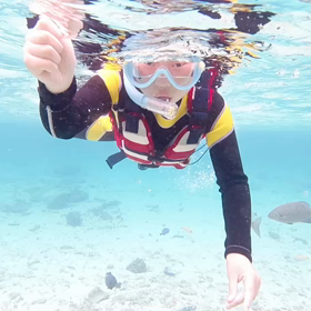 ナガンヌ島（動画）の画像