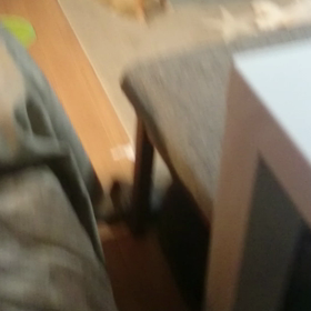 やり合ってるの画像