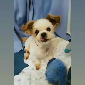 きゅん♫の画像