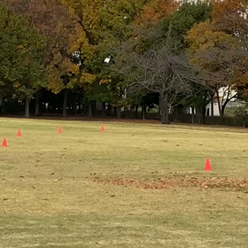 ミニ駅伝 第１レース⑧の画像
