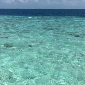 センターララスフシ　オールインクルーシブプランとゴールドプランの違いの画像