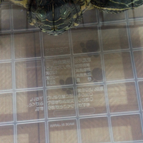 筋肉痛でのたうちまわるの画像