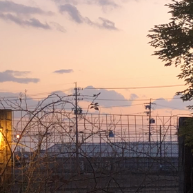 シンギングボウルの画像