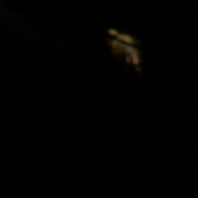 毎日が充実の画像