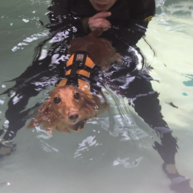 ”二人揃って(*^ω^*)”の画像