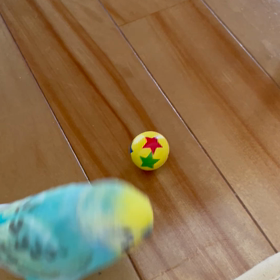 久しぶりのボーリングの画像