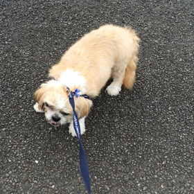 ☆ 何処に行きたいの？ ☆の画像