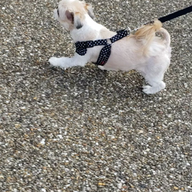 ７秒の癒しの画像