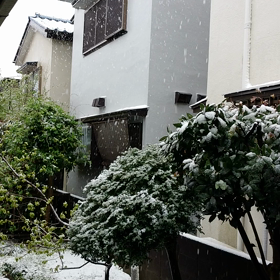 なごり雪❓️の画像