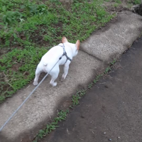 行き詰まった、、さぁどうする？の画像