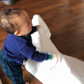 今日のうたくんの画像