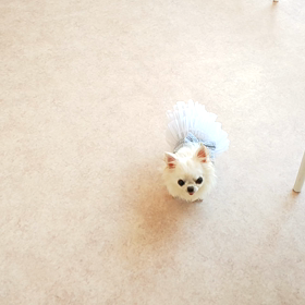 ☆アイチューバーpart3☆の画像