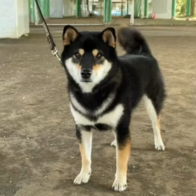 秋のグループレッスンの画像