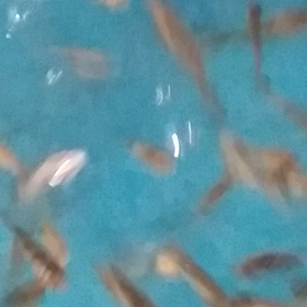 あわただしい一日ｗの画像