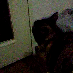 今日はクリスマスイブの画像