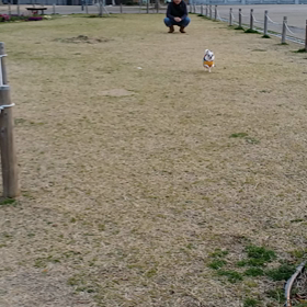 前の冬　動画の画像