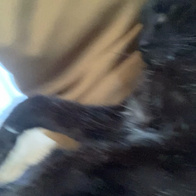 生き返れの画像