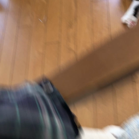 いろいろな付き合いが始まる！猫おもちゃ電動魚とマリー動画の画像