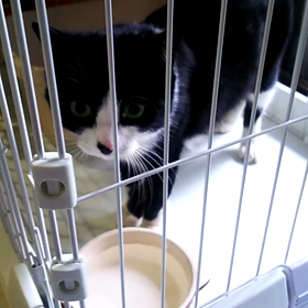 梅ちゃん劇場～の画像