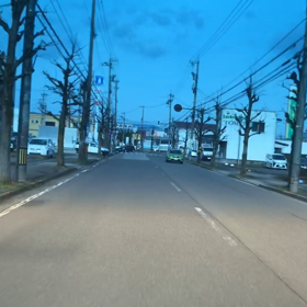 3/25桜開花しました。の画像