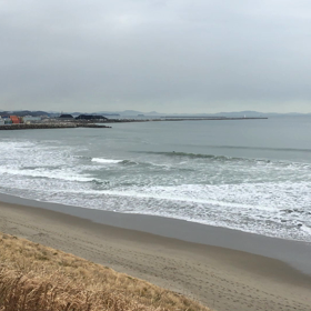 今日もワイドの画像