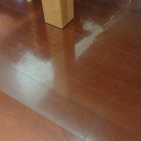 猫ドリブルで持ってくる。の画像