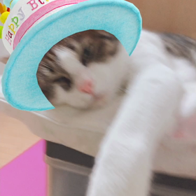 今日のジムと夕食とデールの3歳バースデーの画像