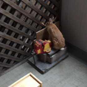 やんちゃらひこ全開の画像