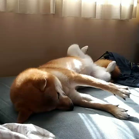 見てるよ。の画像