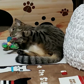 二兎追うものはの画像