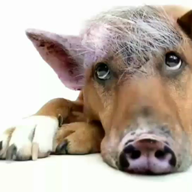 こんな時こそ笑顔で過ごそう  ！の画像