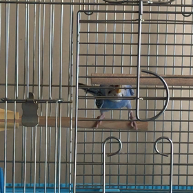 今日の パンの画像