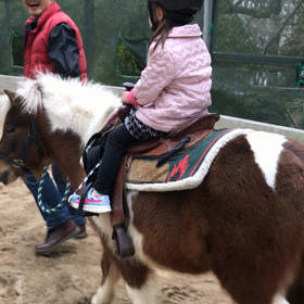 動画♡テクテク♪の画像