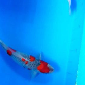 予定変更の画像