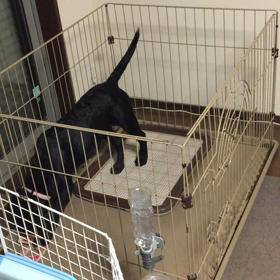 はるちん、ひとり遊びの天才の画像