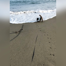 ③サザンビーチちがさき散歩の画像