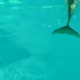 バブルリングの画像