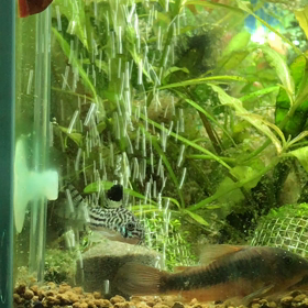 日記、2017/10/27の画像