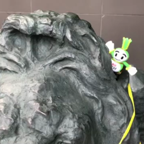 9/2の画像